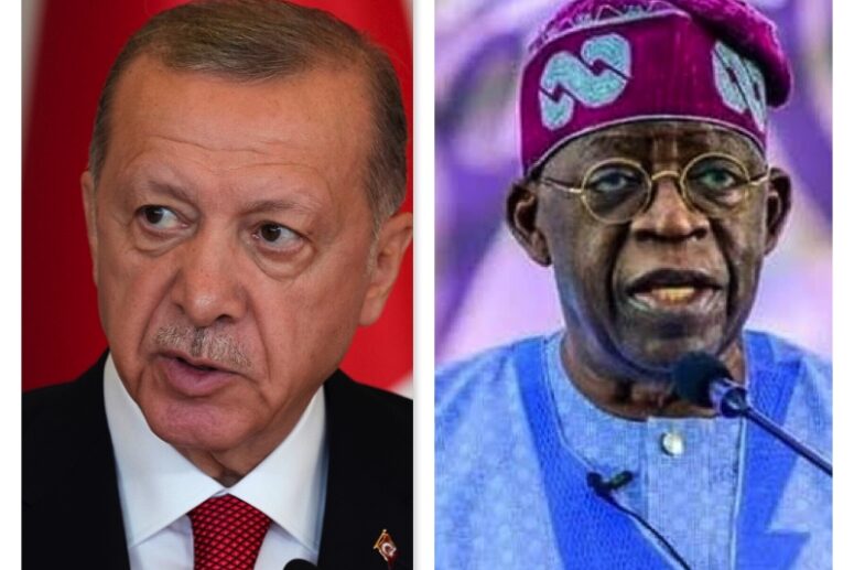 President Erdogan and Tinubu