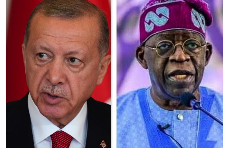 President Erdogan and Tinubu